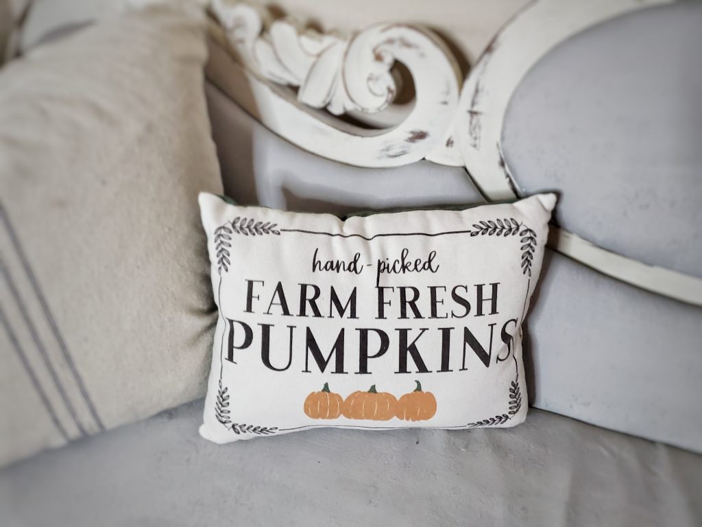 Fall pillow in our fireside room.