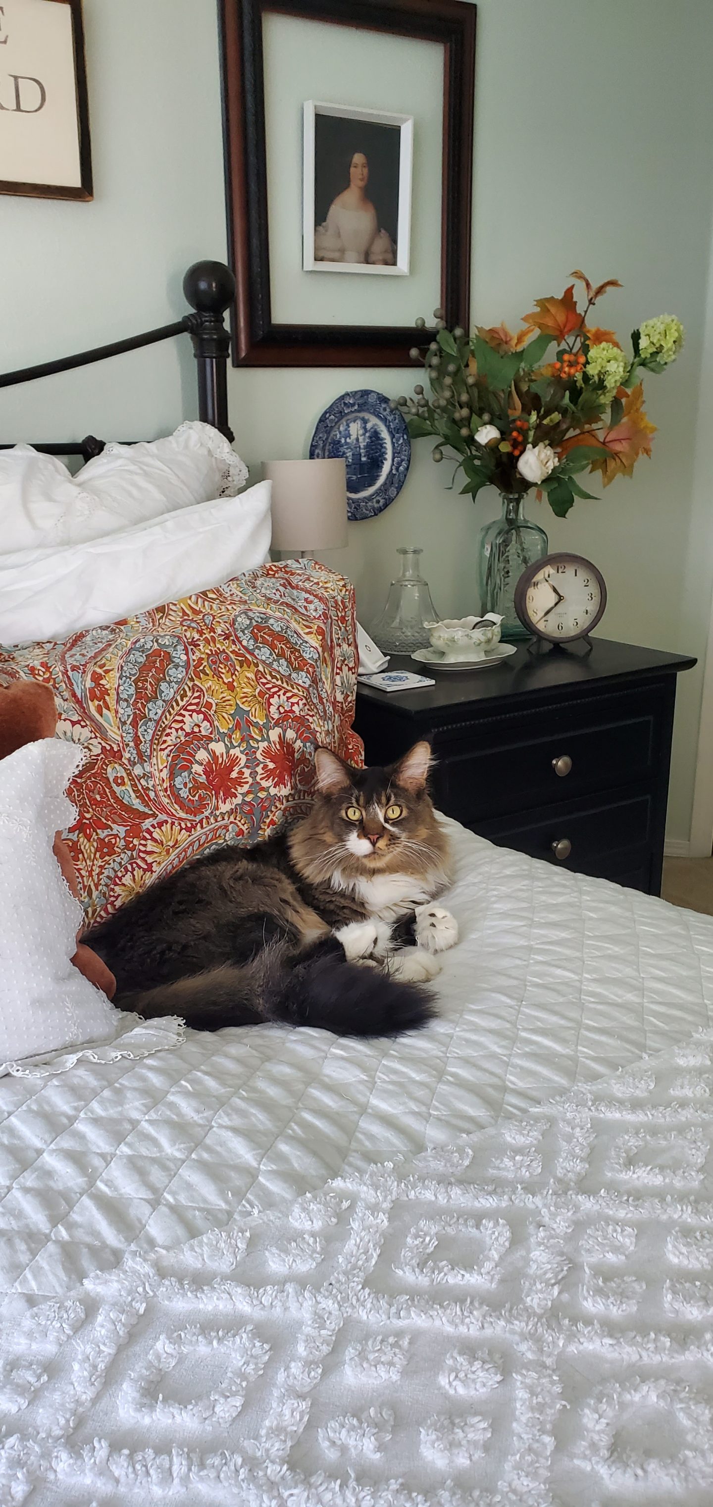 Our Maine Coon cat, Winston, laying on our bed. Fall pillows. Fall decor.