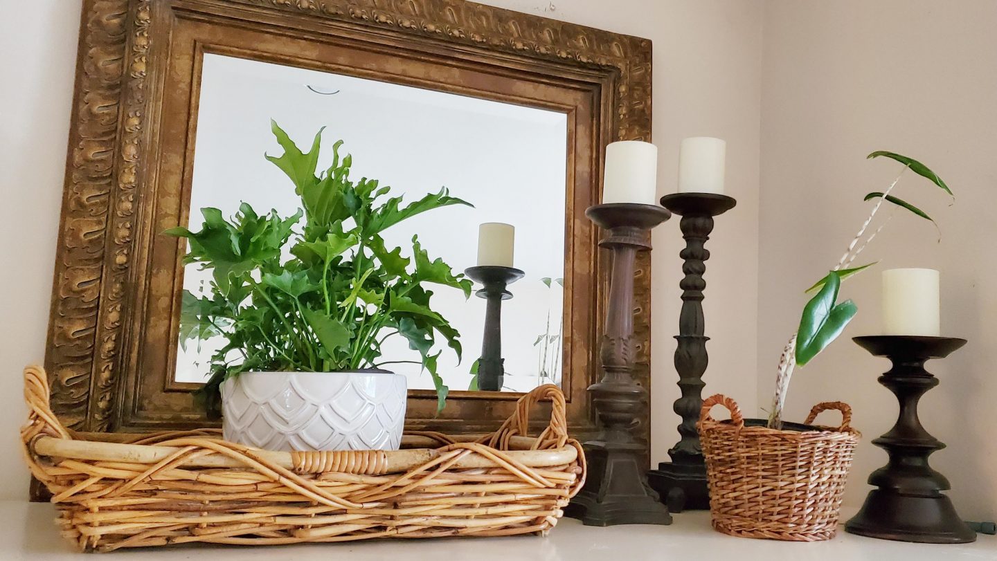 Add live plants to decorate your home throughout the year.