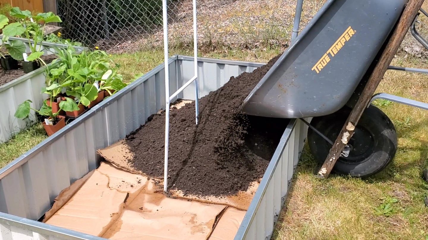 Wheel barrel filled with dirt that is being placed inside a raised bed.