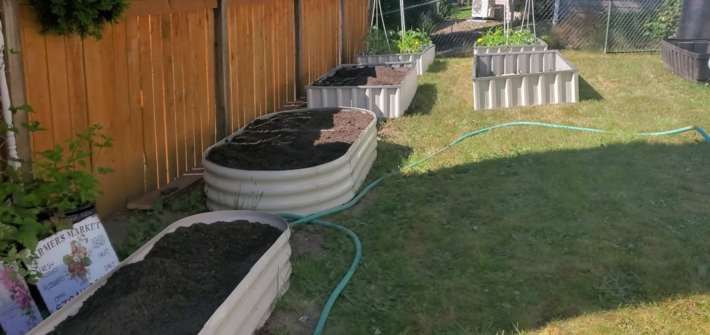 Layout of our raised beds on the other side of our yard.
